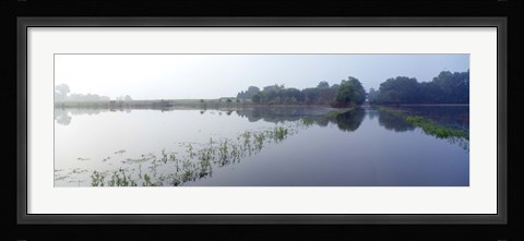 Framed Standing floodwater, Mississippi River, Illinois, USA Print