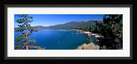 Framed Trees with lake in the background, Lake Tahoe, California, USA Print