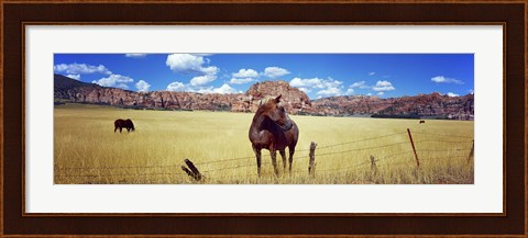 Framed Horses Grazing at Kolob Reservoir, Utah Print