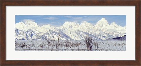 Framed Grand Teton Range in winter, Wyoming, USA Print