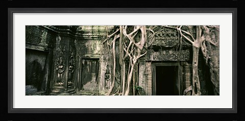 Framed Ruins of Ta Prohm Temple, Angkor, Cambodia Print