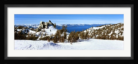 Framed Trees on a snow covered landscape, Heavenly Mountain Resort, Lake Tahoe, California-Nevada Border, USA Print