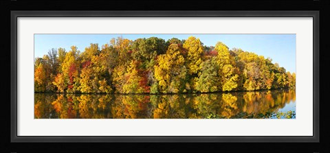 Framed Reflection of trees in a lake, Strawbridge Lake, Moorestown, New Jersey, USA Print
