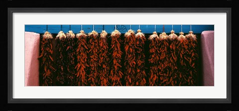 Framed Red peppers drying, New Mexico, USA Print