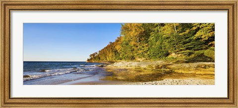 Framed Trees on the beach, Miner&#39;s Beach, Pictured Rocks National Lakeshore, Upper Peninsula, Michigan, USA Print
