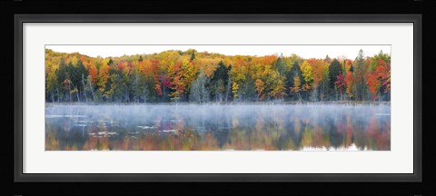 Framed Trees in autumn at Lake Hiawatha, Alger County, Upper Peninsula, Michigan, USA Print