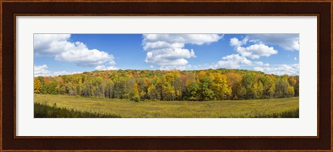 Framed Autumn Trees in New York Print