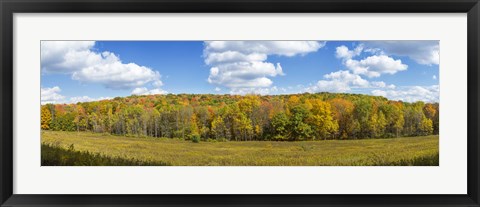 Framed Autumn Trees in New York Print