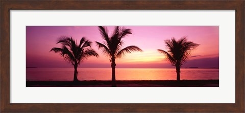 Framed Miami Beach, Florida, USA Print