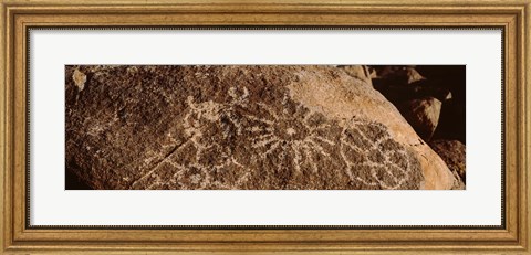 Framed Close-up of petroglyphs on a rock, Saguaro National Park, Tucson, Arizona, USA Print