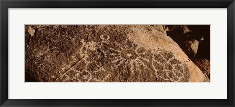 Framed Close-up of petroglyphs on a rock, Saguaro National Park, Tucson, Arizona, USA Print
