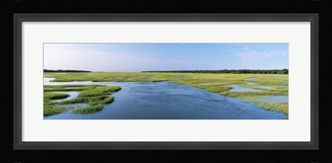 Framed Sea grass in the sea, Atlantic Coast, Jacksonville, Florida, USA Print