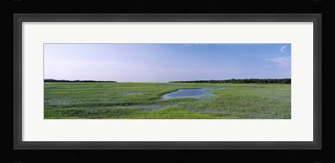 Framed USA, Florida, Jacksonville, Atlantic Coast, Salt Marshes Print