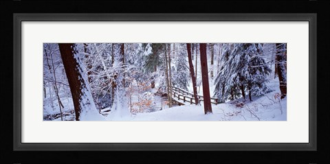 Framed Winter footbridge Cleveland Metro Parks, Cleveland OH USA Print