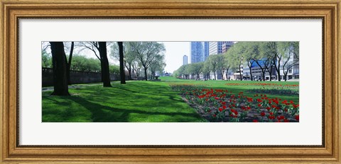 Framed Public Gardens, Loop, Cityscape, Grant Park, Chicago, Illinois, USA Print