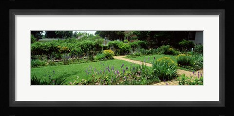Framed USA, Virginia, Williamsburg, colonial garden Print