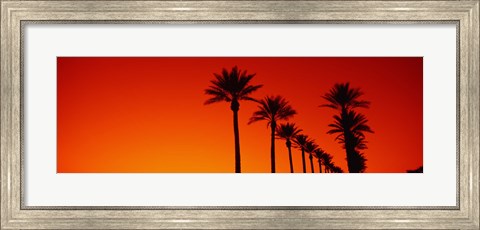 Framed Silhouette of Date Palm trees in a row at dawn, Phoenix, Arizona, USA Print