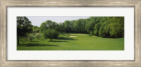 Framed Trees On A Golf Course, Baltimore Country Club, Baltimore, Maryland, USA Print