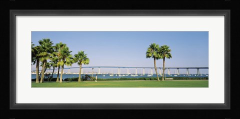 Framed Palm trees on the coast with bridge in the background, Coronado Bay Bridge, San Diego, San Diego County, California, USA Print