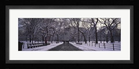 Framed Bare trees in a park, Central Park, New York City, New York State, USA Print