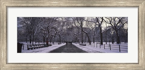 Framed Bare trees in a park, Central Park, New York City, New York State, USA Print