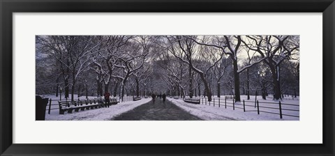 Framed Bare trees in a park, Central Park, New York City, New York State, USA Print
