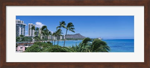 Framed Palm Trees On The Beach, Waikiki Beach, Honolulu, Oahu, Hawaii, USA Print