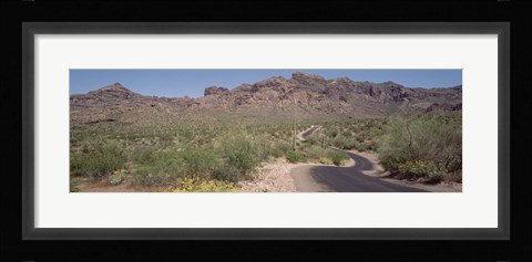 Framed USA, Arizona, Dreamy Draw Park, Cactus along a road Print
