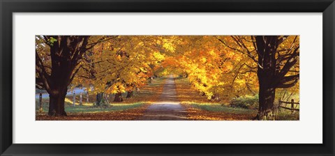 Framed Road, Baltimore County, Maryland, USA Print