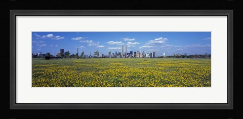 Framed Yellow Flowers in a park with Manhattan in the background, New York City Print