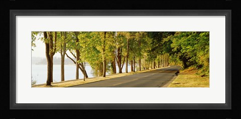 Framed Trees on both sides of a road, Lake Washington Boulevard, Seattle, Washington State, USA Print
