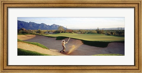 Framed Side profile of a man playing golf at a golf course, Tucson, Arizona, USA Print