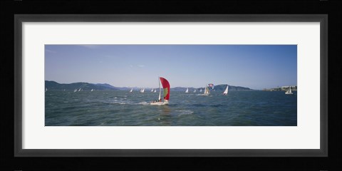 Framed Sailboats in the water, San Francisco Bay, California, USA Print