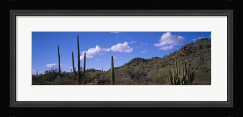 Framed Desert Road AZ Print
