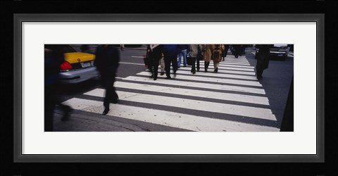 Framed Group of people crossing at a zebra crossing, New York City, New York State, USA Print