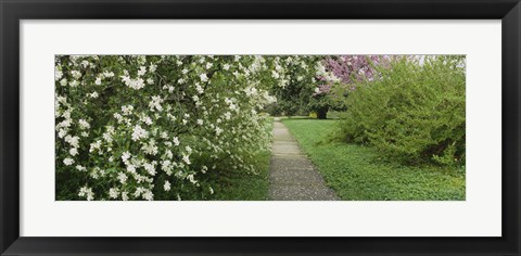 Framed Path In A Park, Richmond, Virginia, USA Print