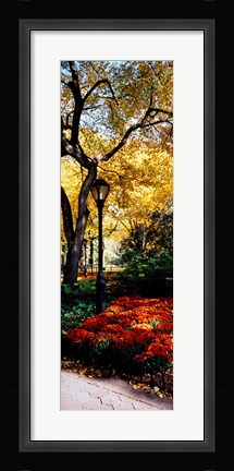 Framed Lamppost in a park, Central Park, Manhattan, New York City, New York, USA Print