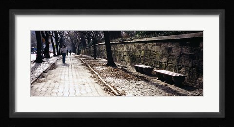 Framed Rear view of a woman walking on a walkway, Central Park, Manhattan, New York City, New York, USA Print
