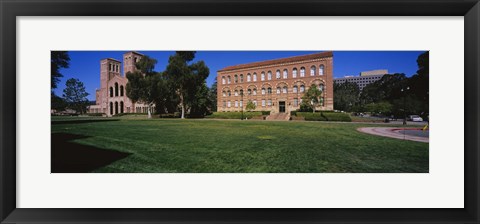 Framed Lawn in front of a Royce Hall and Haines Hall, University of California, City of Los Angeles, California, USA Print