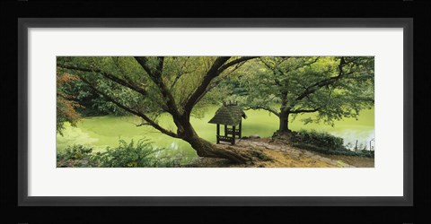 Framed Trees near a pond, Central Park, Manhattan, New York City, New York State, USA Print