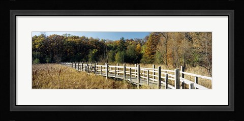 Framed Boardwalk passing through a forest, University of Wisconsin Arboretum, Madison, Dane County, Wisconsin, USA Print