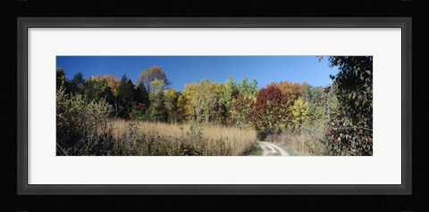 Framed Dirt road passing through a forest, University of Wisconsin Arboretum, Madison, Dane County, Wisconsin, USA Print