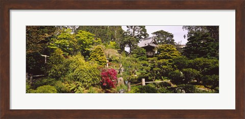 Framed Cottage in a park, Japanese Tea Garden, Golden Gate Park, San Francisco, California, USA Print