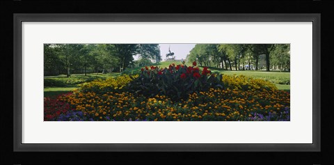 Framed Flowers in a park, Grant Park, Chicago, Cook County, Illinois, USA Print
