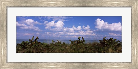 Framed Tampa Bay, Gulf Of Mexico, Anna Maria Island, Florida Print