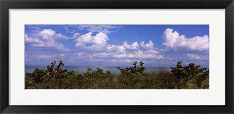 Framed Tampa Bay, Gulf Of Mexico, Anna Maria Island, Florida Print