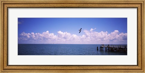 Framed Pier over the sea, Fort De Soto Park, Tampa Bay, Gulf of Mexico, St. Petersburg, Pinellas County, Florida, USA Print
