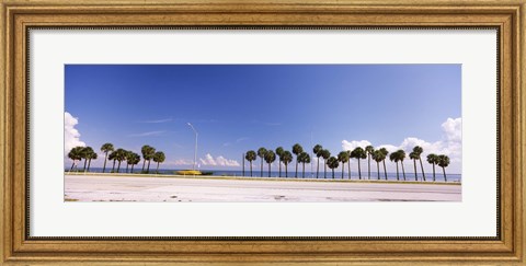 Framed Palm trees at the roadside, Interstate 275, Tampa Bay, Gulf of Mexico, Florida, USA Print