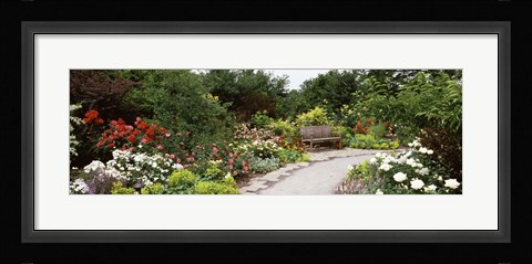 Framed Bench in a garden, Olbrich Botanical Gardens, Madison, Wisconsin, USA Print