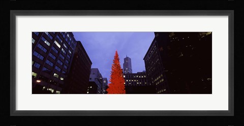Framed Low angle view of a Christmas tree, San Francisco, California, USA Print